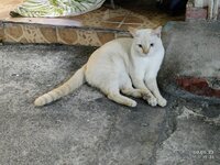 2025-08-30 19.31.04.jpg