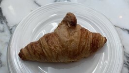 1762695890251.jpeg 1762695890251.jpeg