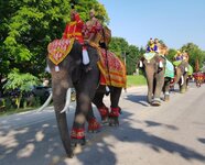 f2t896p32152n2_KDguQizn.jpg f2t896p32152n2_KDguQizn.jpg