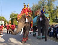 f2t896p32152n8_ocmukyjr.jpg f2t896p32152n8_ocmukyjr.jpg