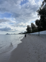 Bildschirmfoto 2025-11-12 um 16.17.22.png