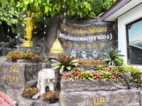 IMG_20251019_114549.jpg IMG_20251019_114549.jpg