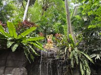 IMG_20251019_114756.jpg IMG_20251019_114756.jpg