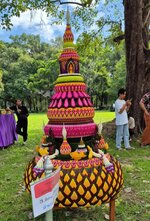 f2t896p32158n13_PTrVCLIN.jpg f2t896p32158n13_PTrVCLIN.jpg