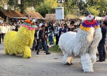 f2t896p32162n6_vGAncdSm.jpg f2t896p32162n6_vGAncdSm.jpg