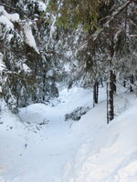 IMG_0273 - Kopie.JPG