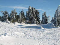 IMG_0280 - Kopie.JPG