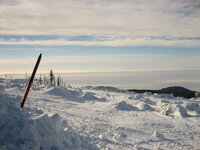 IMG_0303 - Kopie.JPG