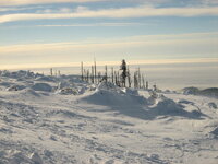 IMG_0304.JPG IMG_0304.JPG