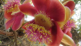 2020 Kambotscha (608).jpeg