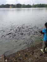 2025-04-16 10.32.06.jpg 2025-04-16 10.32.06.jpg