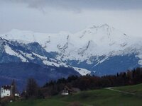 IMG_20251117_154051 (002).jpg