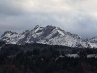 IMG_20251117_154018 (002).jpg