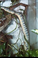 1763421846475.jpeg 1763421846475.jpeg