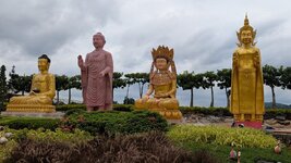 PXL_20251117_050121914.MP.jpg PXL_20251117_050121914.MP.jpg