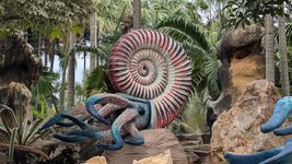 PXL_20251117_044610849.jpg PXL_20251117_044610849.jpg