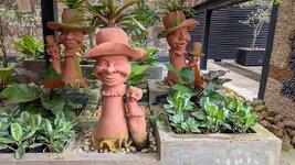 PXL_20251117_051754396.MP.jpg PXL_20251117_051754396.MP.jpg