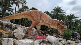 PXL_20251117_060453452.MP.jpg PXL_20251117_060453452.MP.jpg