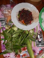 DSCN0828~2.JPG DSCN0828~2.JPG