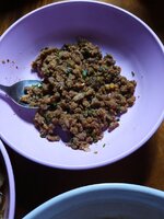 IMG_20250614_180113_460.jpg IMG_20250614_180113_460.jpg