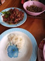 IMG_20250614_082513_225.jpg IMG_20250614_082513_225.jpg