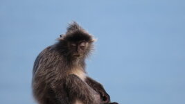 2022-05-24 10.24.44.jpeg