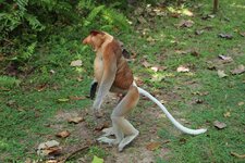 2022-05-24 14:00:07Nase++.jpeg