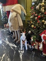 IMG_0903.jpeg IMG_0903.jpeg