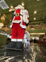 IMG_0905.jpeg IMG_0905.jpeg