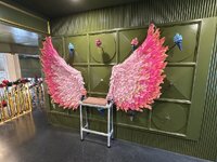 IMG_0909.jpeg IMG_0909.jpeg