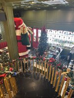 IMG_0931.jpeg IMG_0931.jpeg