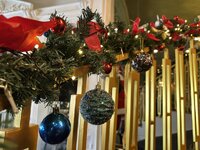 IMG_0932.jpeg IMG_0932.jpeg