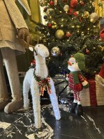 IMG_0948.jpeg IMG_0948.jpeg