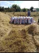 IMG_20201121_094614.png IMG_20201121_094614.png