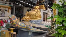 PXL_20251121_044314431.jpg PXL_20251121_044314431.jpg