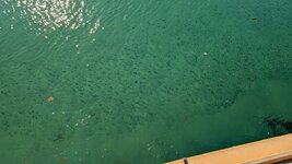 PXL_20251122_013437385.jpg PXL_20251122_013437385.jpg