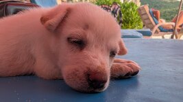 PXL_20251122_101401789.MP.jpg PXL_20251122_101401789.MP.jpg