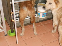 DSCN9326.JPG DSCN9326.JPG