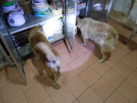 DSCN9322.JPG DSCN9322.JPG