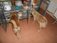 DSCN9323.JPG DSCN9323.JPG