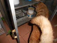 DSCN9325.JPG DSCN9325.JPG