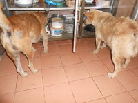 DSCN9324.JPG DSCN9324.JPG