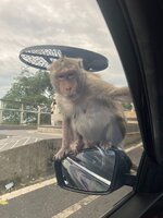 IMG-20251121-WA0006.jpg IMG-20251121-WA0006.jpg