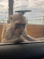 IMG-20251121-WA0009.jpg IMG-20251121-WA0009.jpg