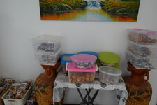 DSC07015.JPG DSC07015.JPG