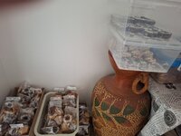 20251129_114544.jpg 20251129_114544.jpg