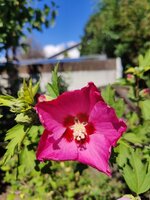 2024-07-14 11.08.42.jpg