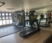 IMG_9877.jpeg IMG_9877.jpeg