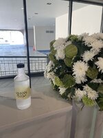 IMG_9906.jpeg IMG_9906.jpeg