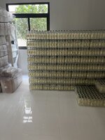 IMG_9907.jpeg IMG_9907.jpeg